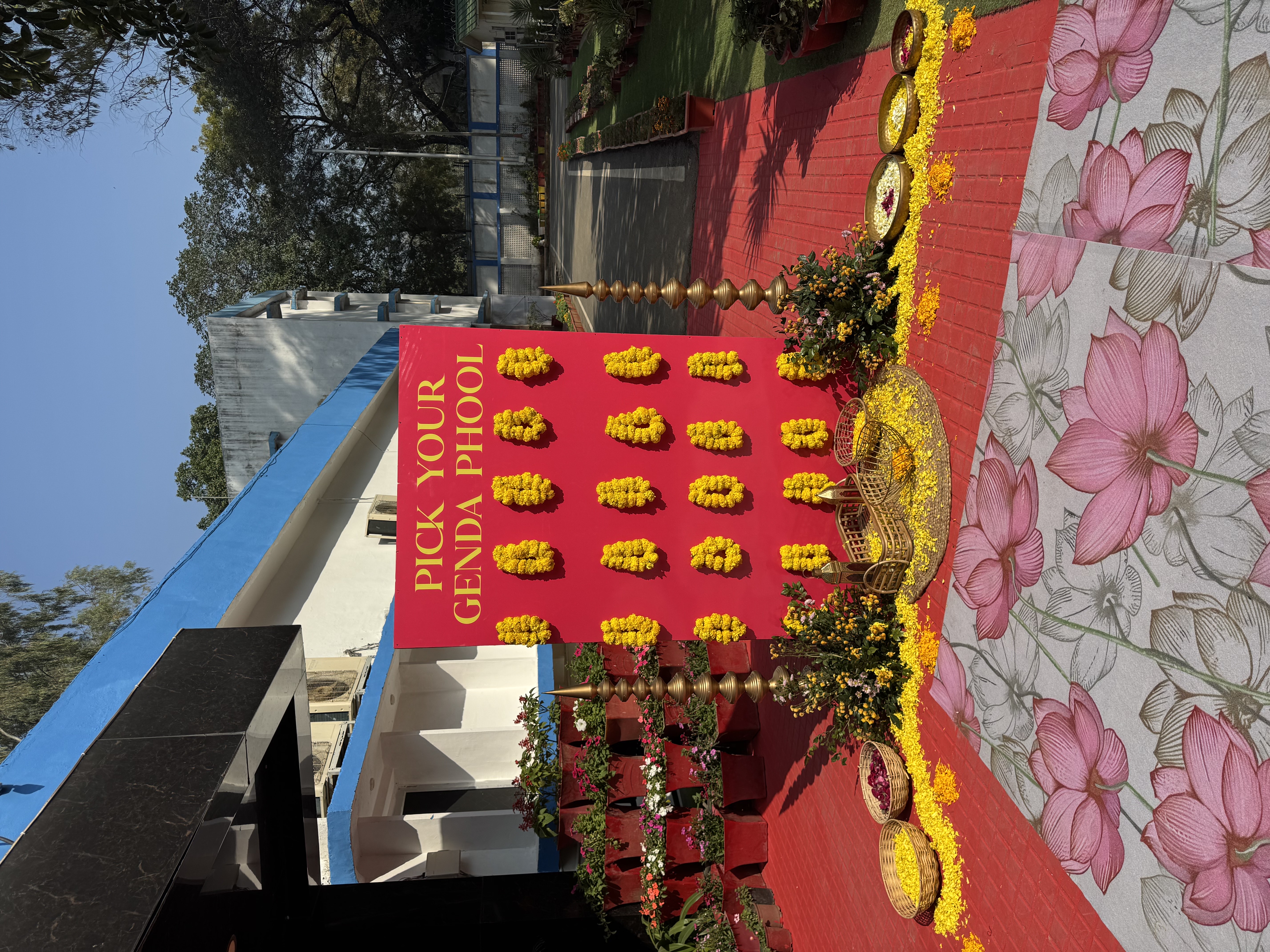 Haldi Ceremony